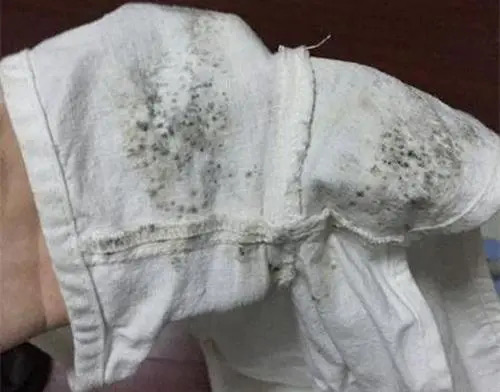 防蟲(chóng)防霉劑應(yīng)用場(chǎng)景圖